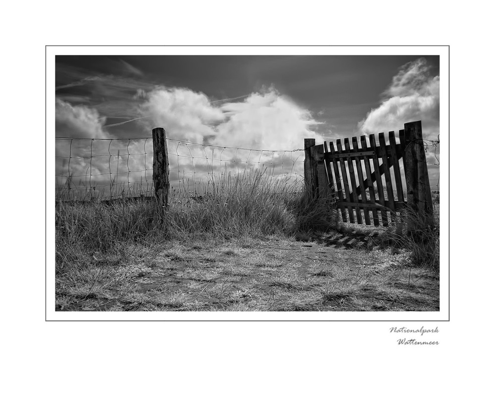 Nationalpark Wattenmeer