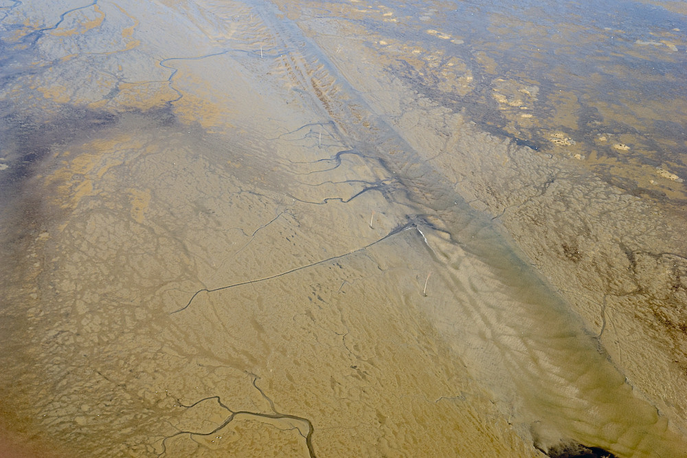 Nationalpark Wattenmeer 2