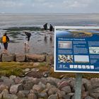 Nationalpark Wattenmeer