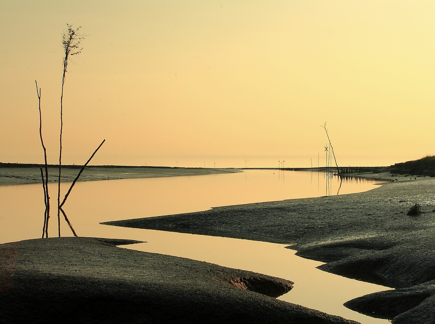 Nationalpark Wattenmeer