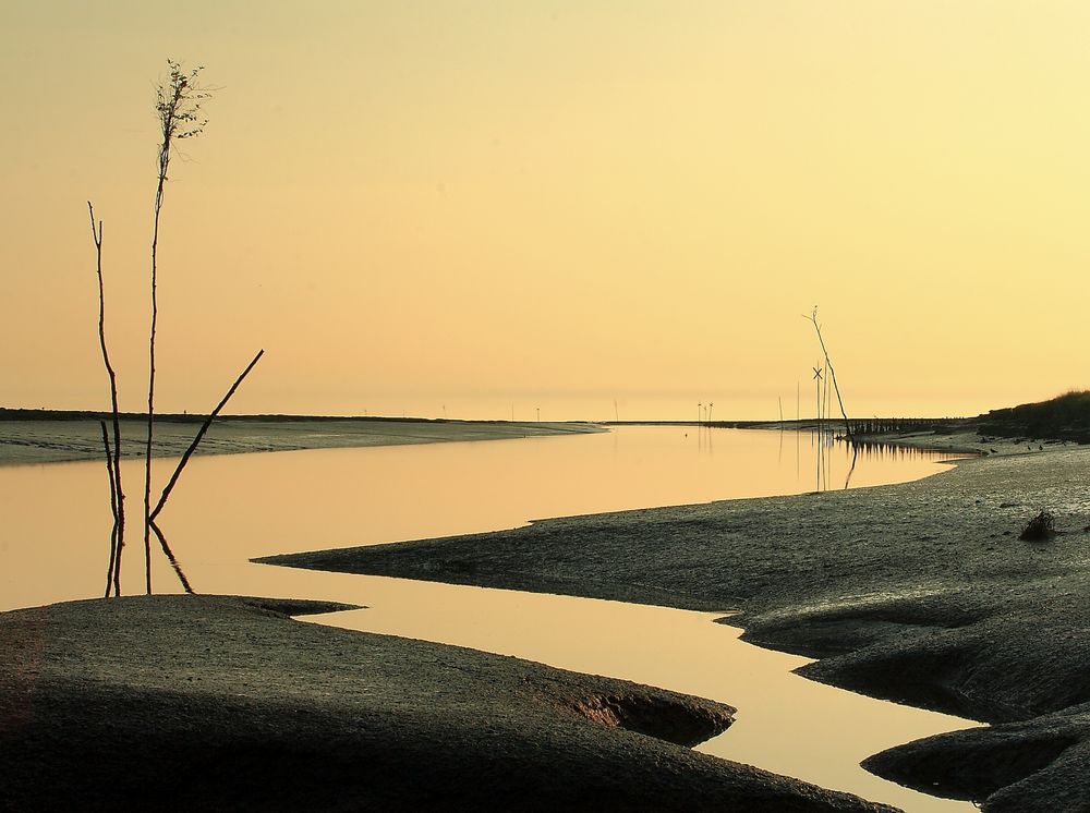 Nationalpark Wattenmeer by Mirko Honnens 