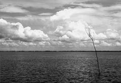 Nationalpark Wattenmeer