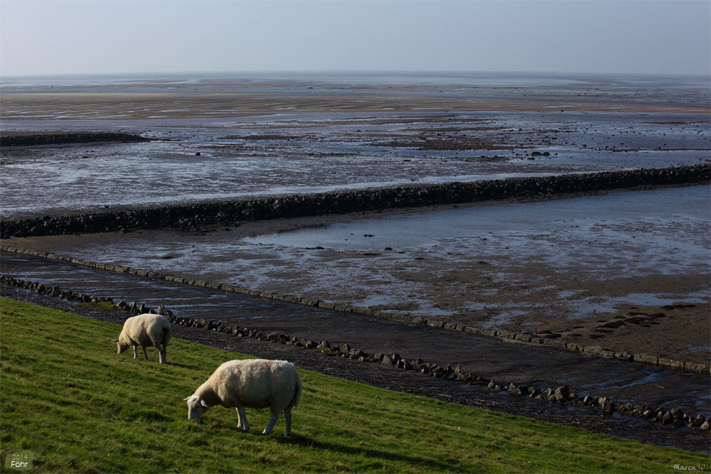 Nationalpark Wattenmeer