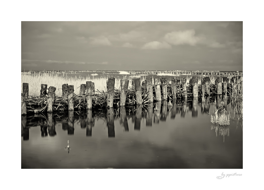 Nationalpark Wattenmeer Friedrichskoog