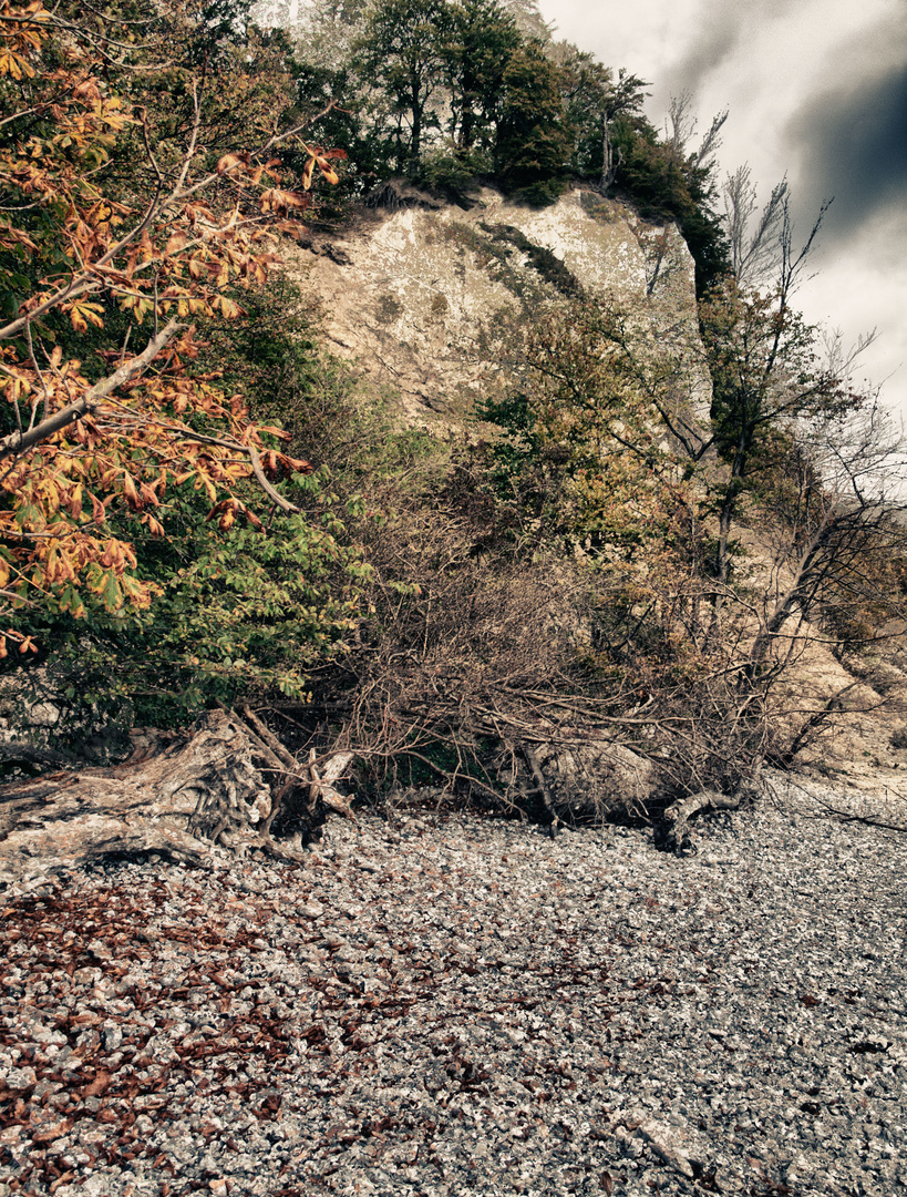 Nationalpark_Jasmund_04