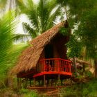 Native Hut