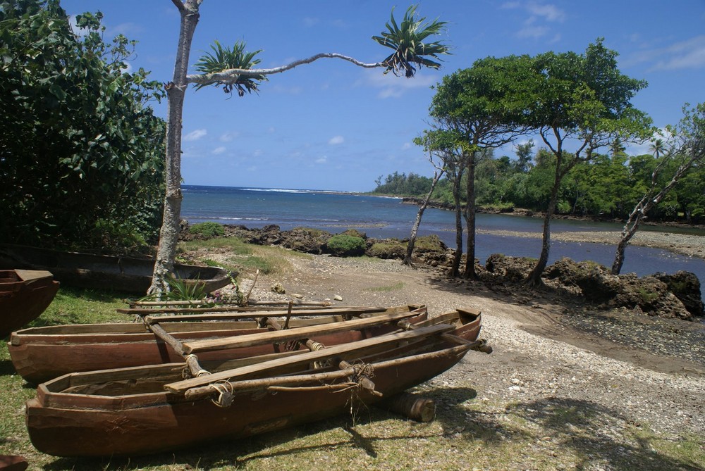 Natives in Vanuatu / Bungee