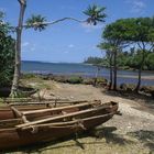 Natives in Vanuatu / Bungee