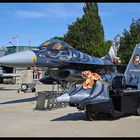 *** NATO Tiger Meet 2009 ***