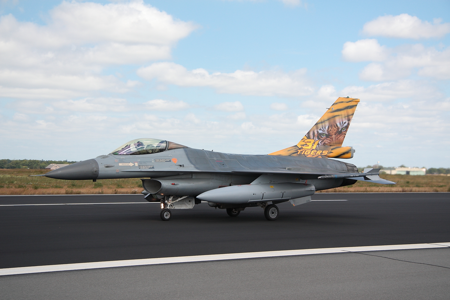 NatoTiger Meet 2014 #13 General Dynamics F-16AM