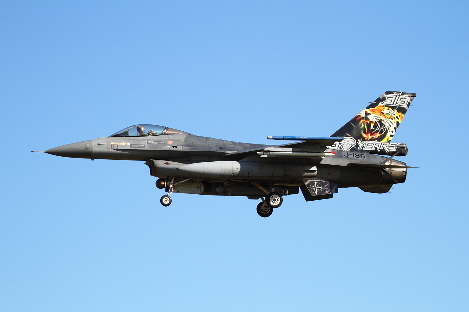 NatoTiger Meet 2014 #21 General Dynamics F-16AM