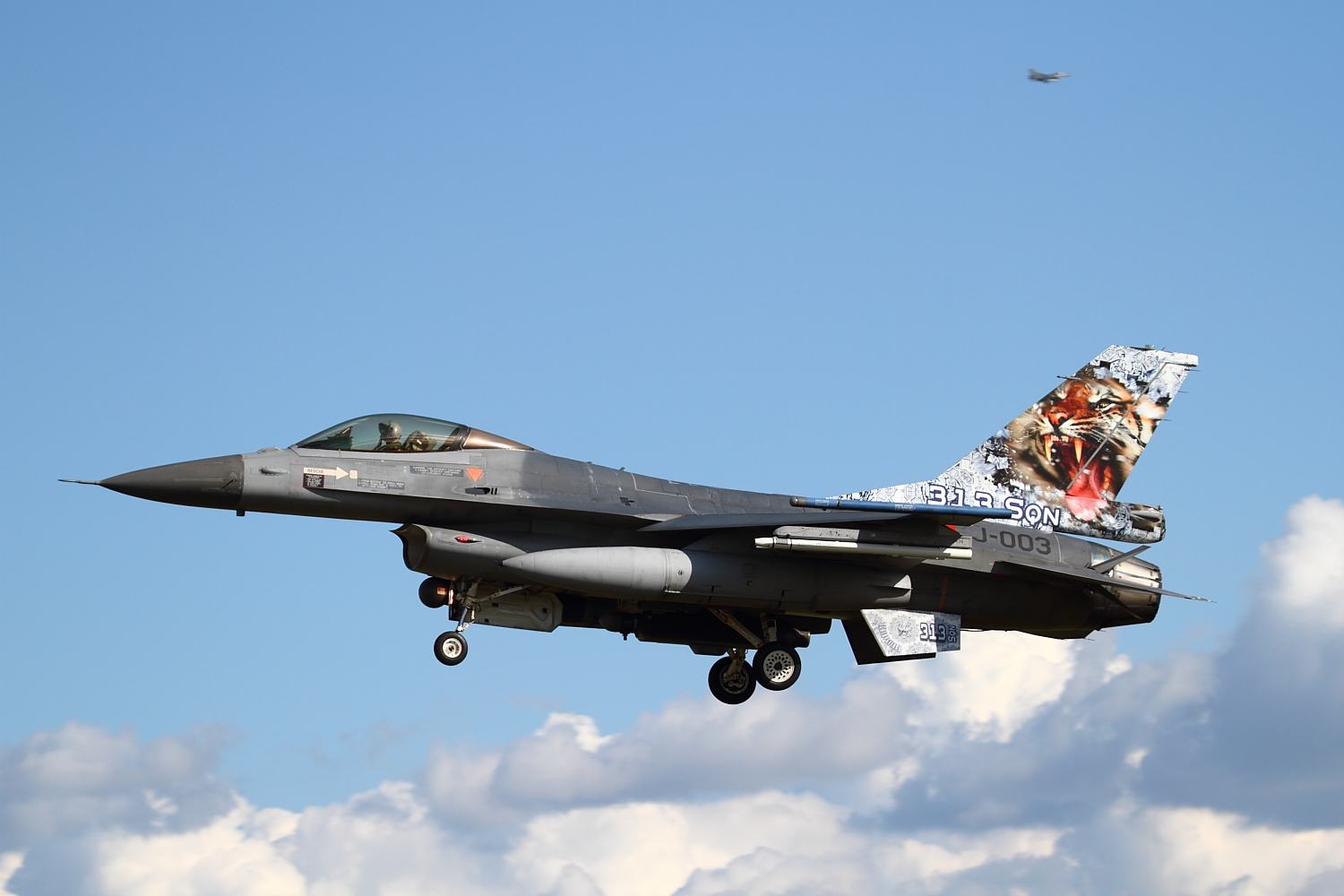 NatoTiger Meet 2014 #24 General Dynamics F-16AM