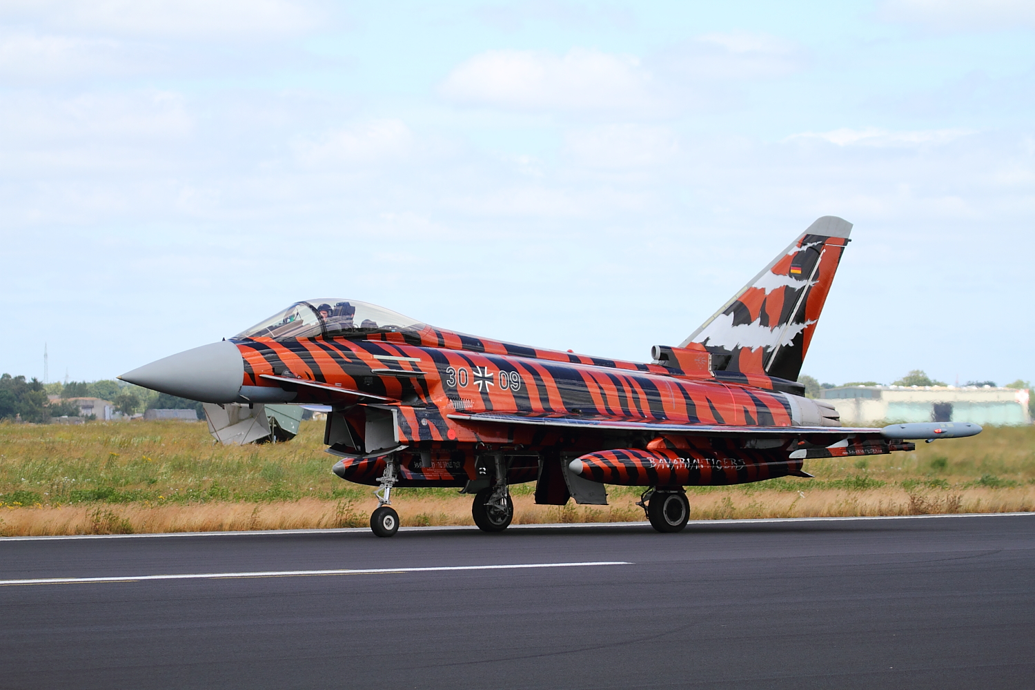 NatoTiger Meet 2014 #8 Eurofighter EF-2000 Typhoon S