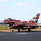 NatoTiger Meet 2014 #8 Eurofighter EF-2000 Typhoon S