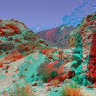 Natternkopf - Tajinaste in Teneriffa - Anaglyphen 