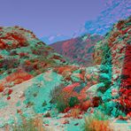 Natternkopf - Tajinaste in Teneriffa - Anaglyphen 