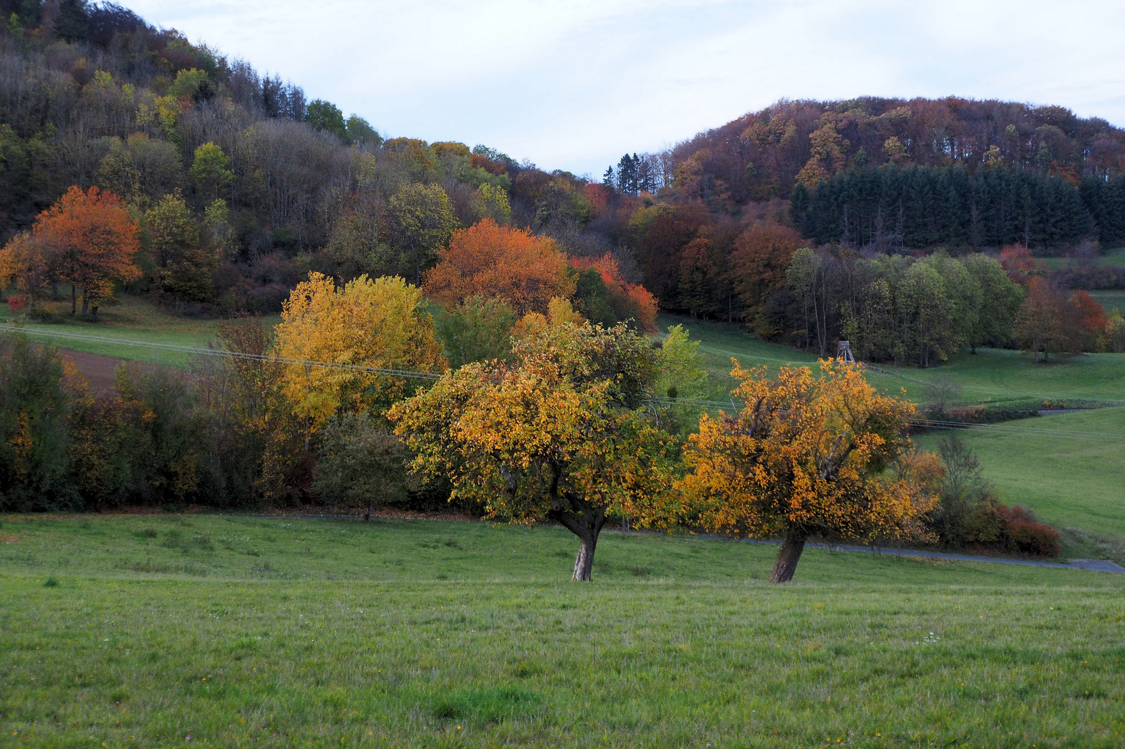 Natürlich auch schöne schöne Herbstzeit!