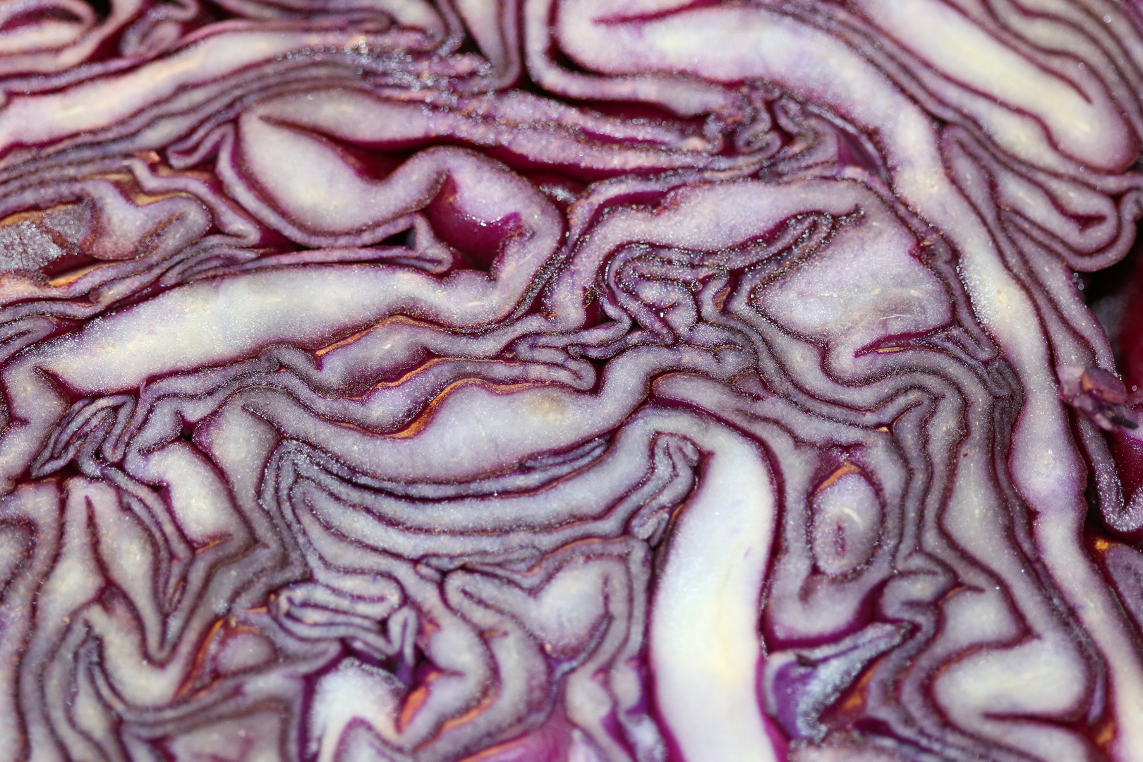 Natürlich Blaukraut