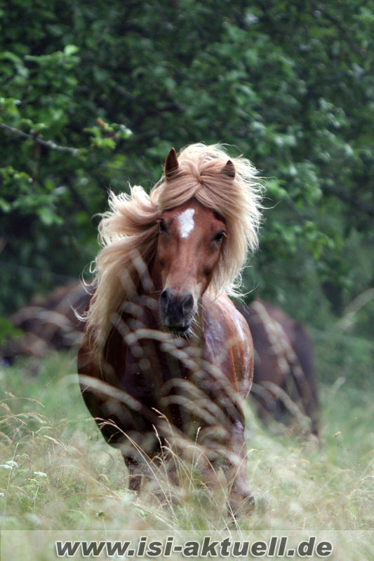 Natürlich blond .....