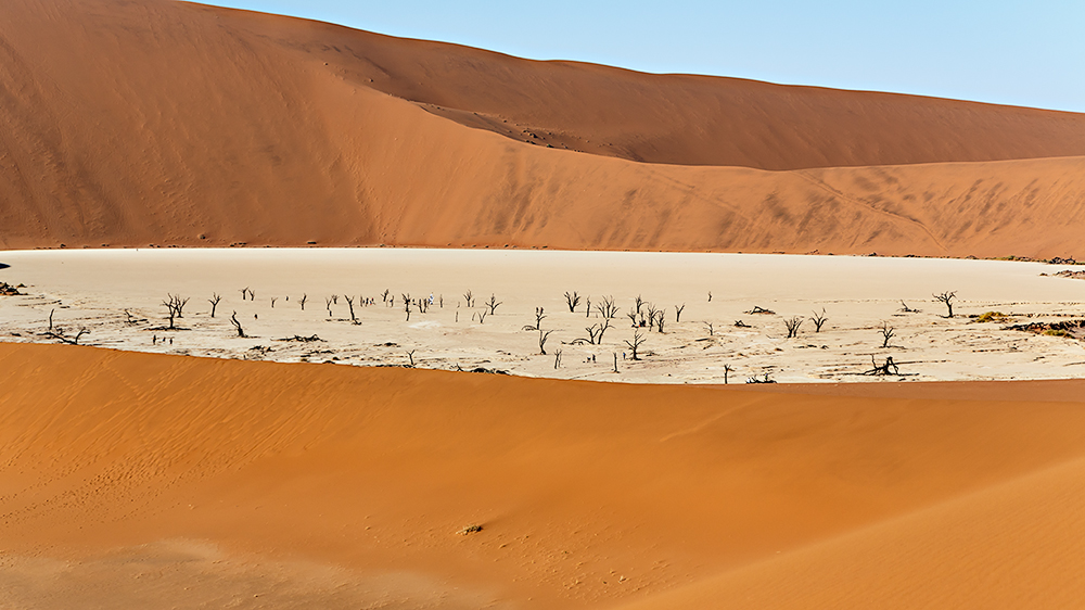 Natürlich dead vlei