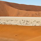 Natürlich dead vlei