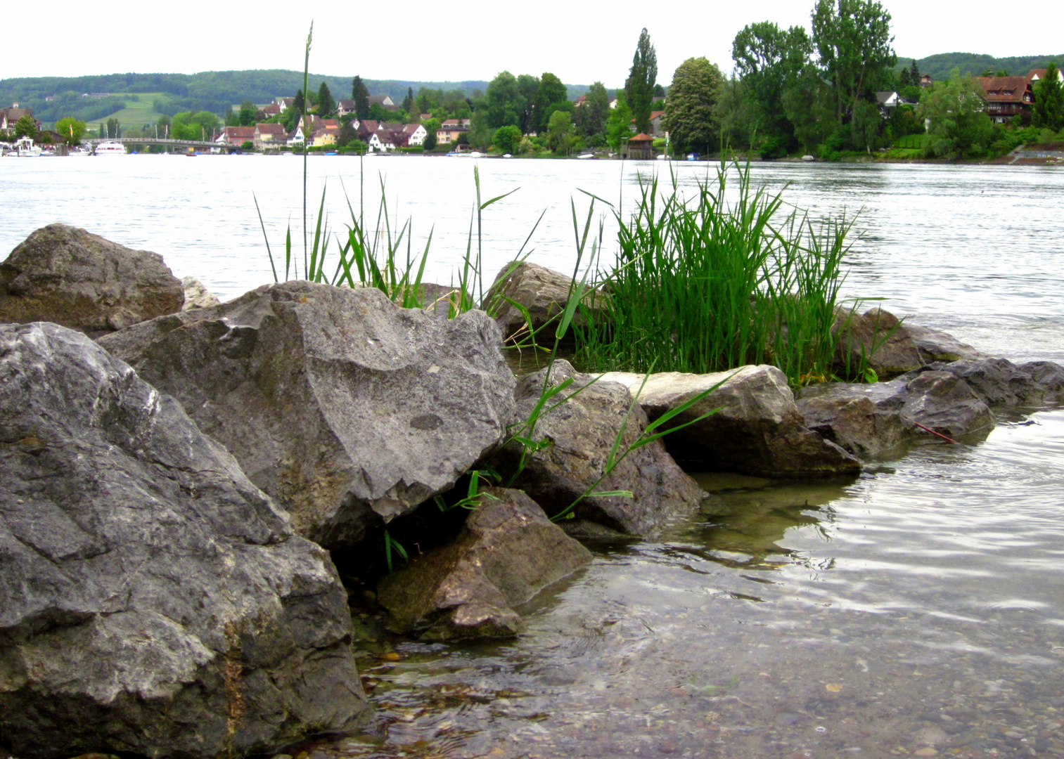 natürlich gewachsener Steingarten