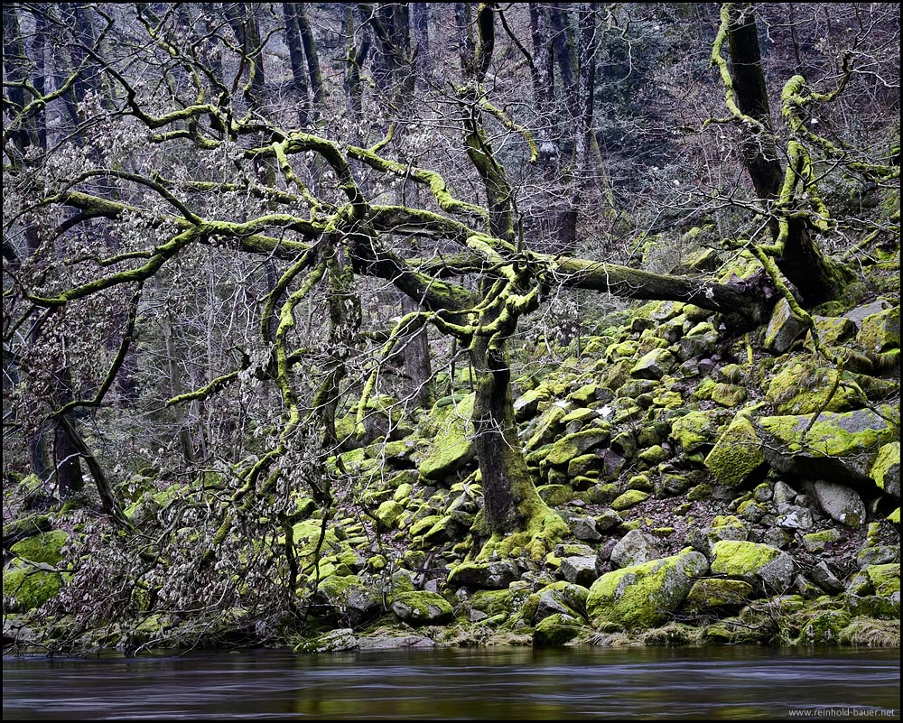 natürlich - natürlich