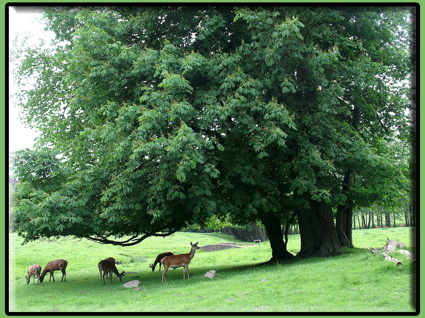 Natürlich: Natur