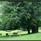 Natürlich: Natur