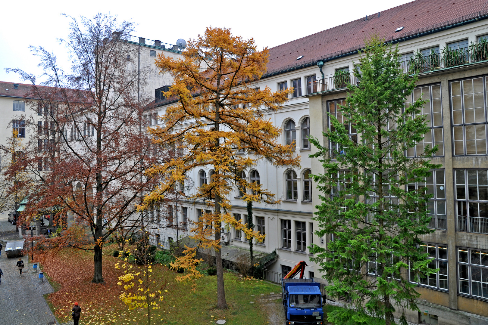 Natürliche Ampel