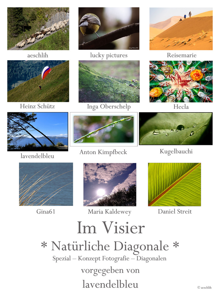 *Natürliche Diagonalen* Collage von aeschlih