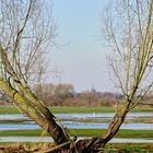 Natürliche Durchblick