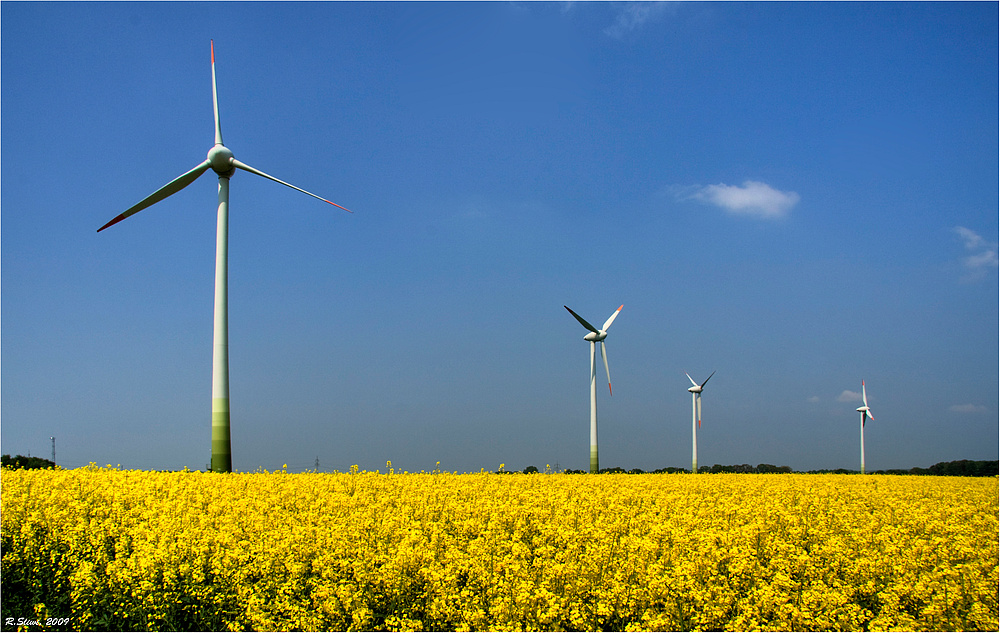 Natürliche Energie