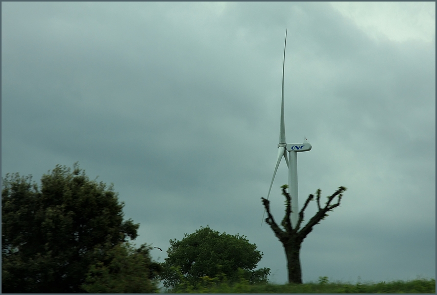 Natürliche Energie :)