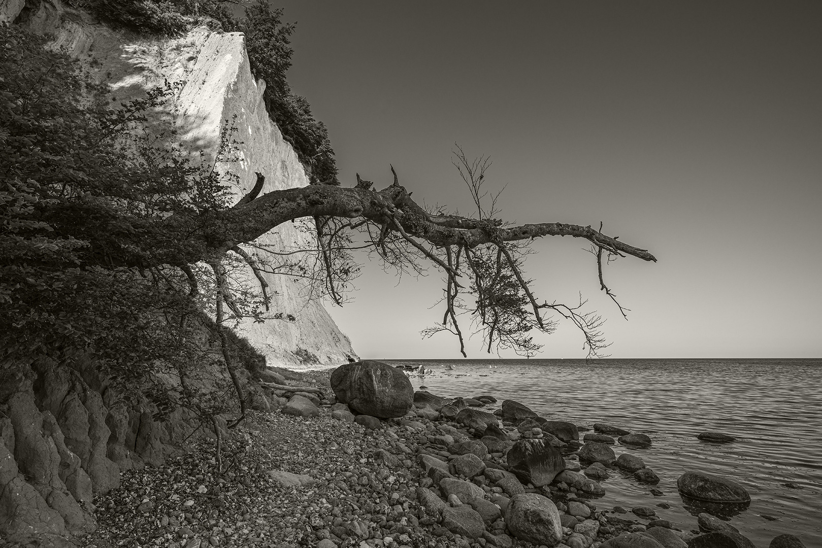 Natürliche Evolution Foto & Bild deutschland, europe, mecklenburg