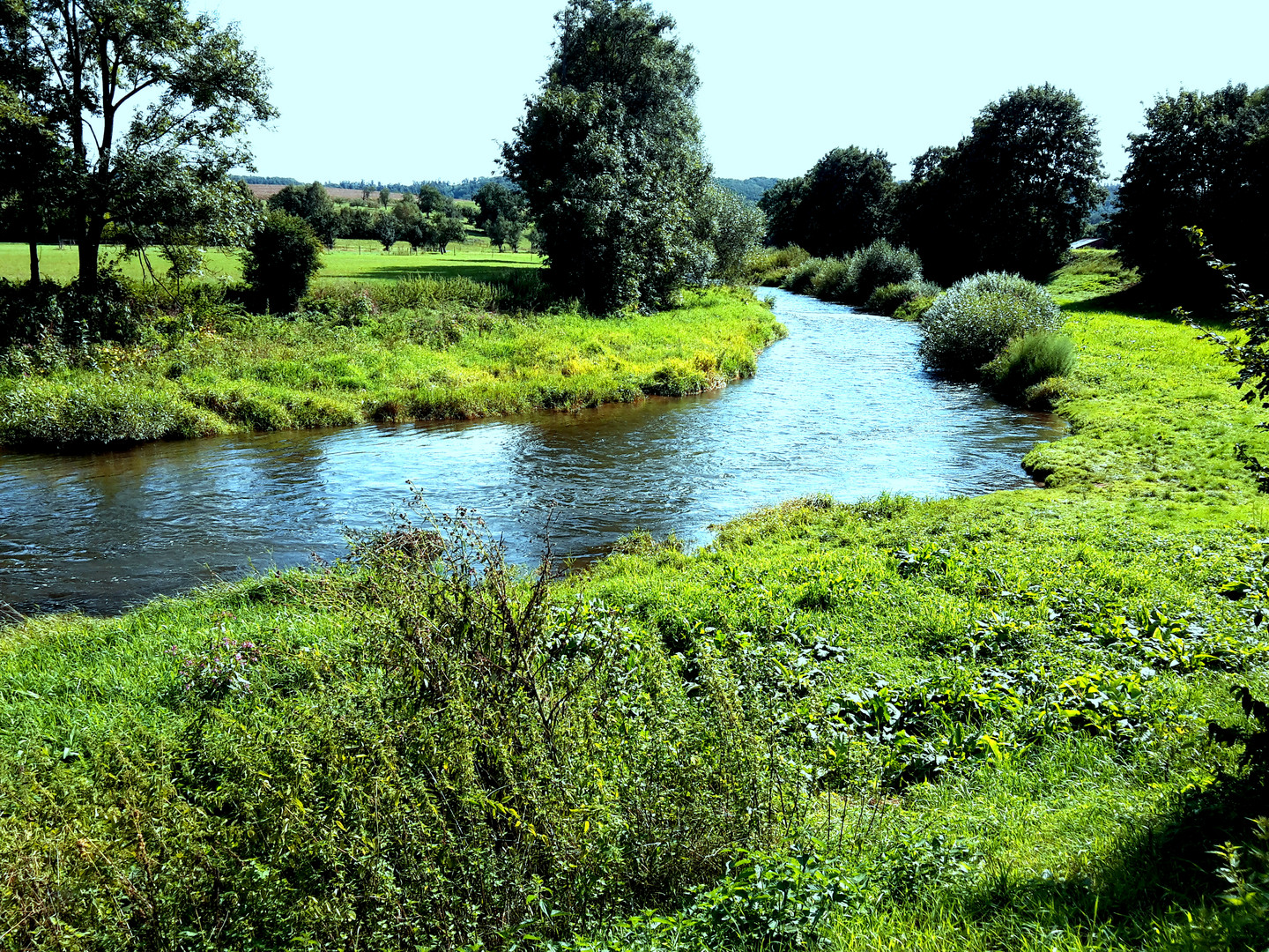 Natürliche Flusslandschaft