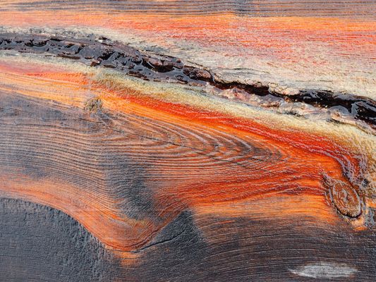 Natürliche Holzstrukturen auf einer nassen Holzbank ...