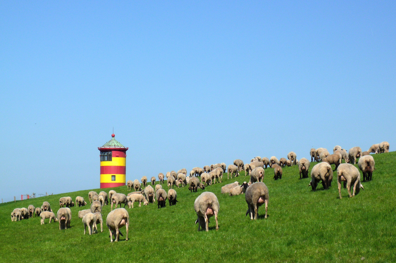 Natürliche Landschaftspflege