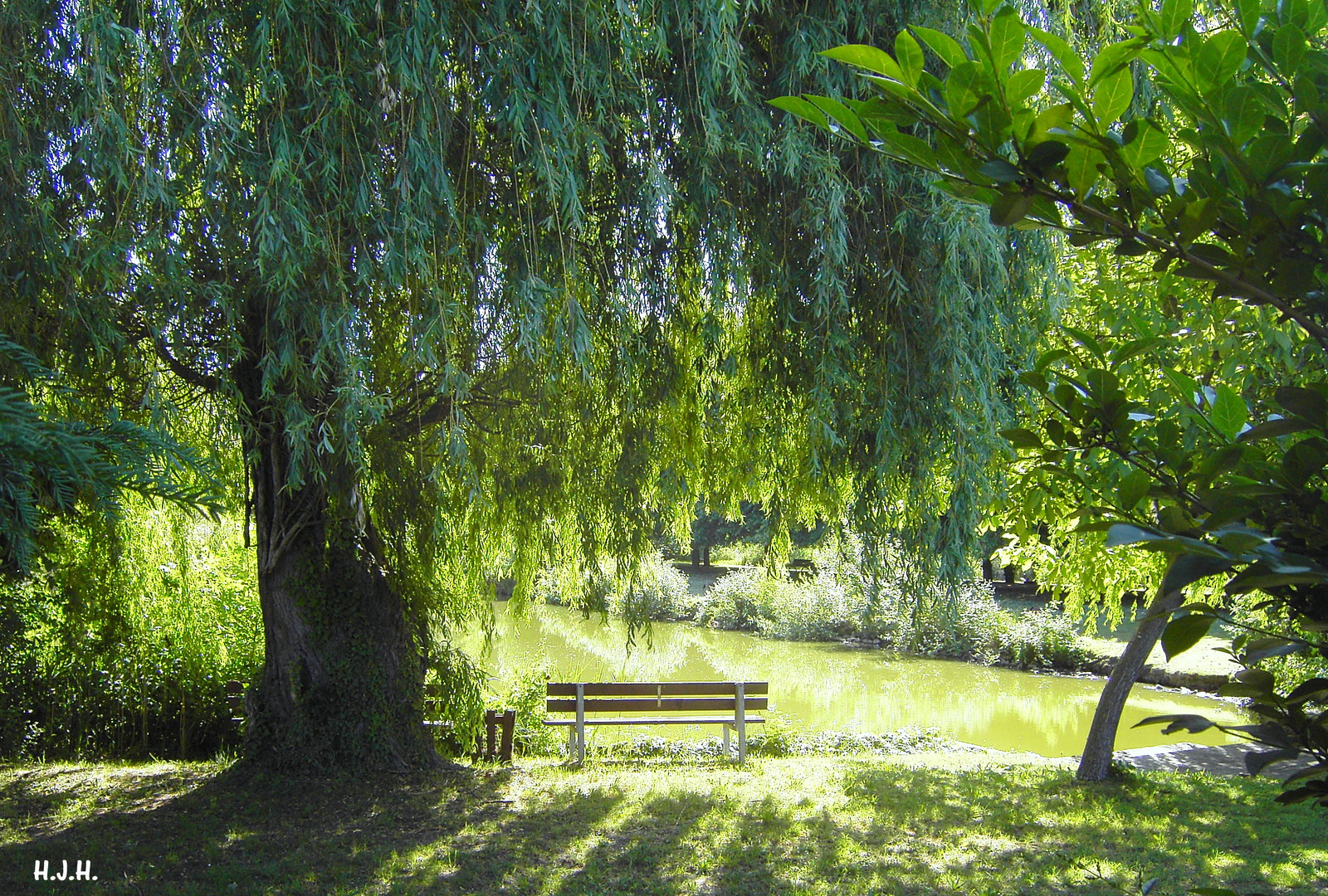 Natürliche Sonnenbank....