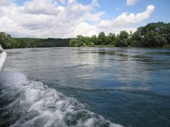 natürliche Stromlandschaft am Rhein, bei Rüdlingen