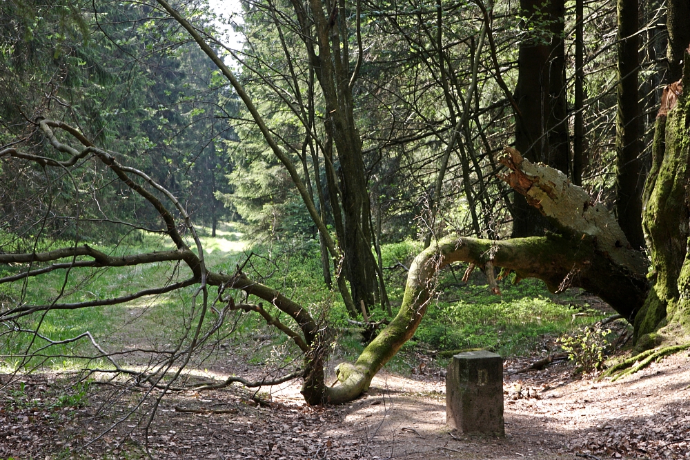 "Natürliche Weg(ab)sperrung....."