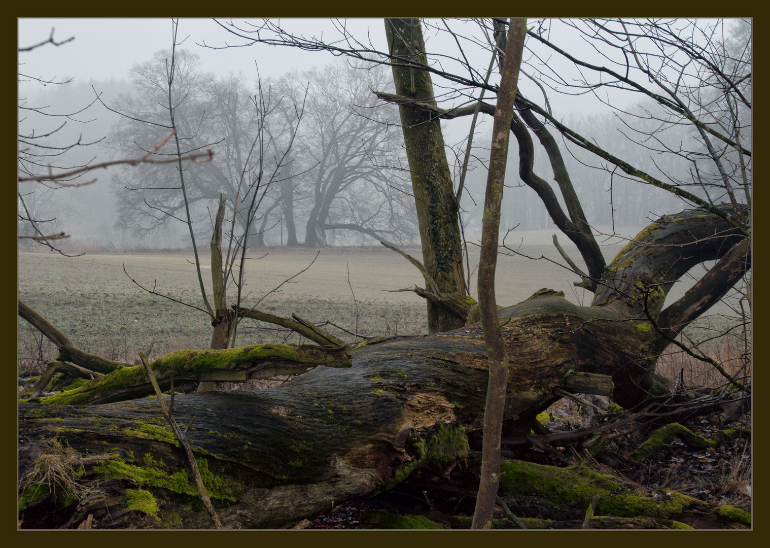 natürlichen Kreislauf