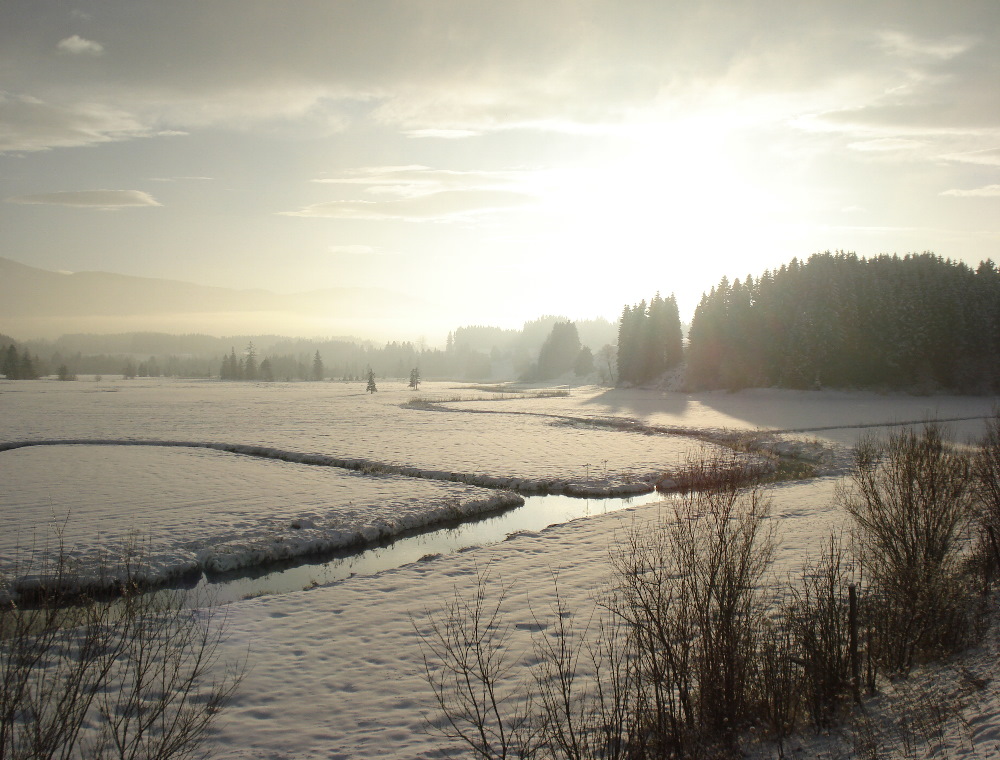 Natürlicher Bachlauf in winterlicher Voralpenlandschaft - 200812