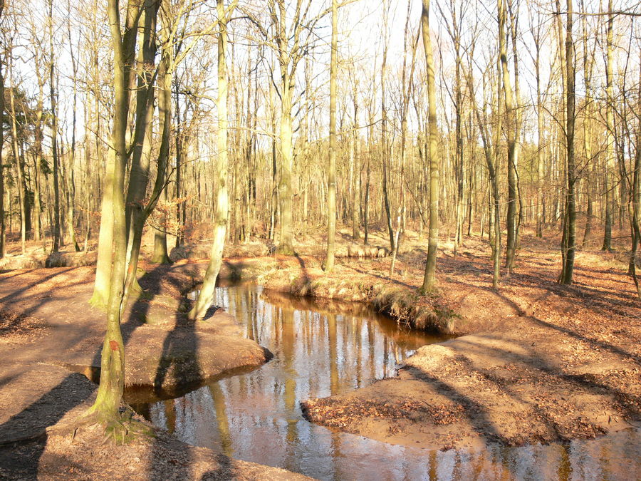 Natürlicher Bachverlauf im Rotbach-Tal