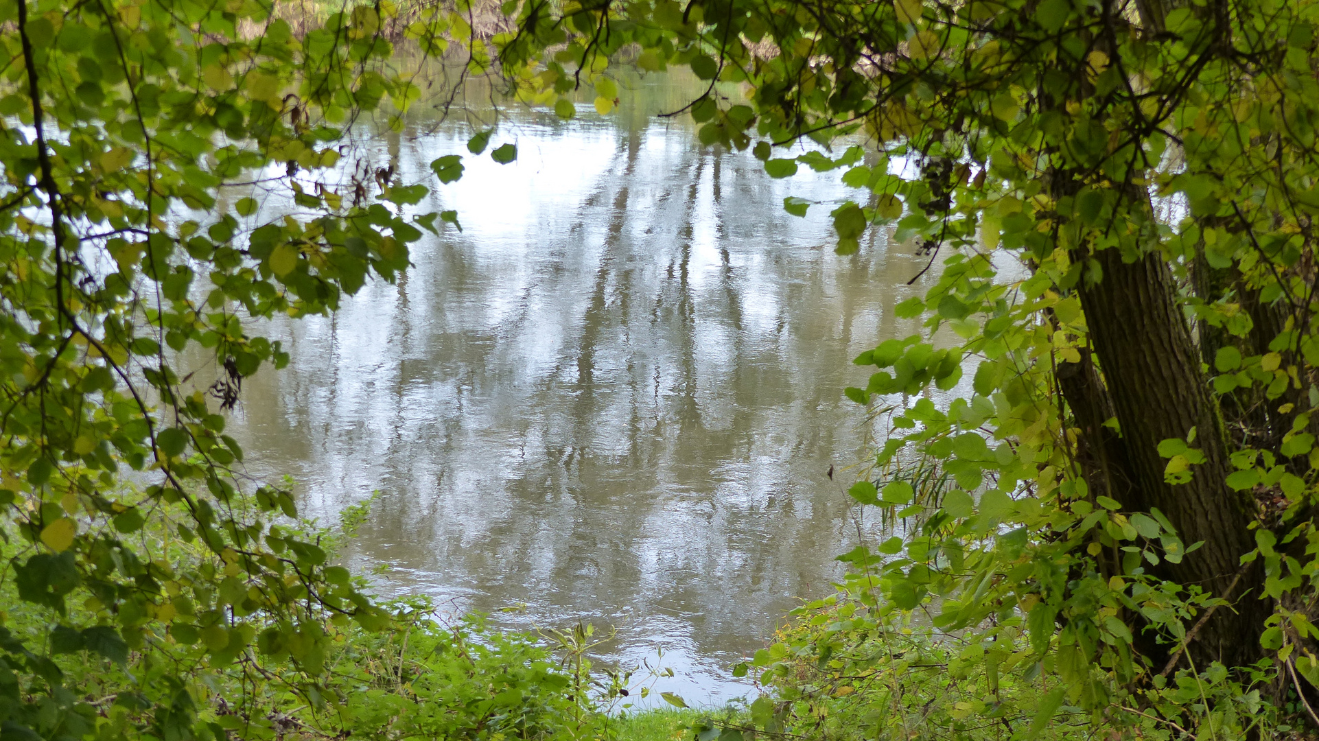 Natürlicher Bilderrahmen mit Blick auf die Weser