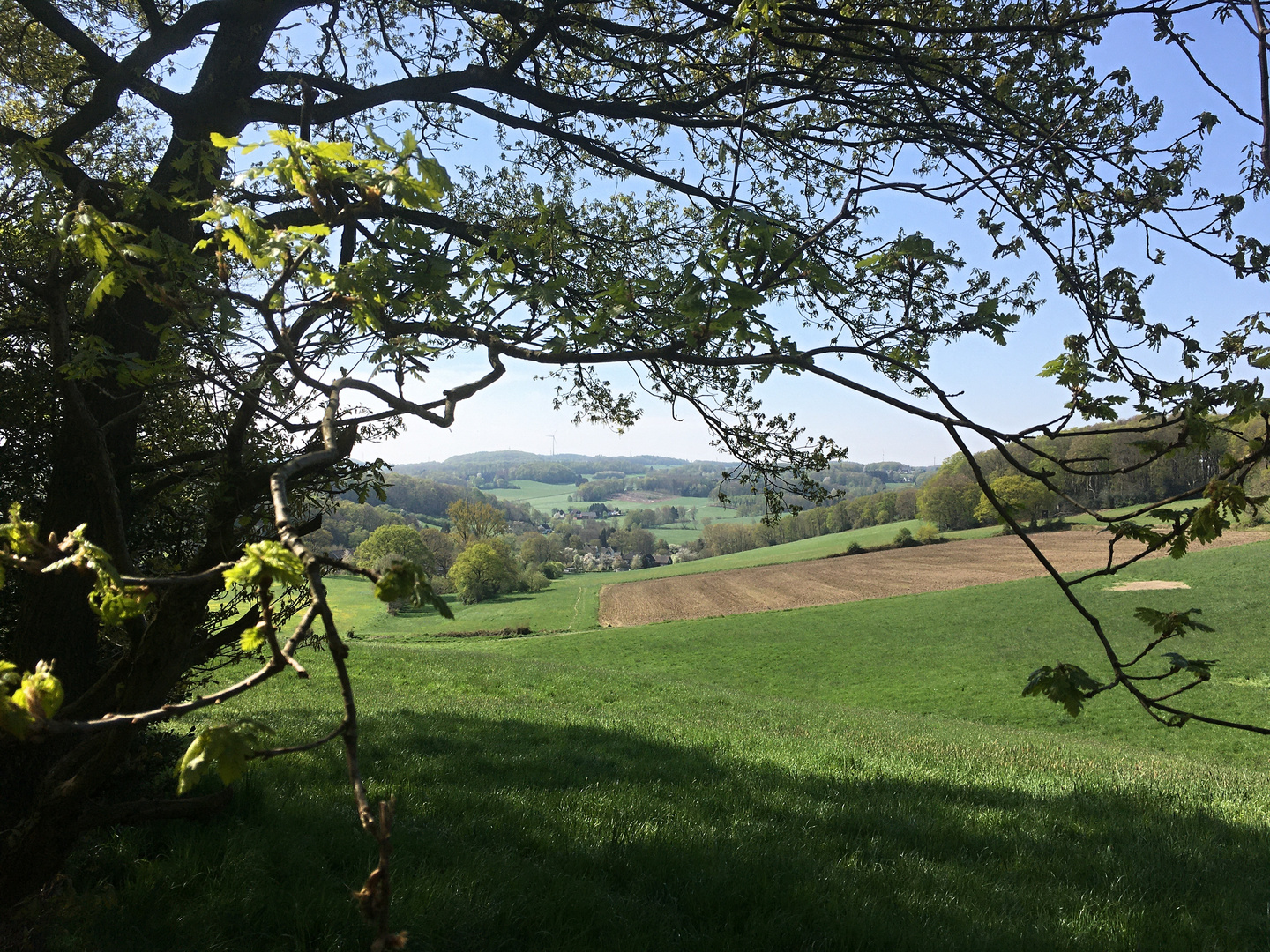 natürlicher Durchblick