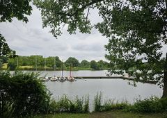Natürlicher Durchblick
