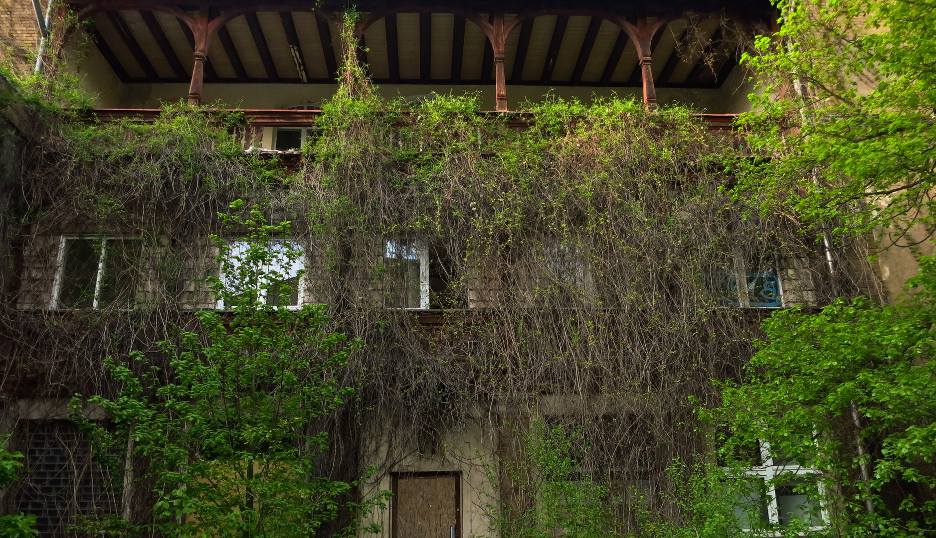 Natürlicher Fenstervorhang