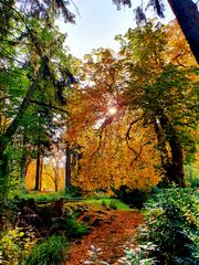 Natürlicher Herbst