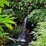 natürlicher Pool